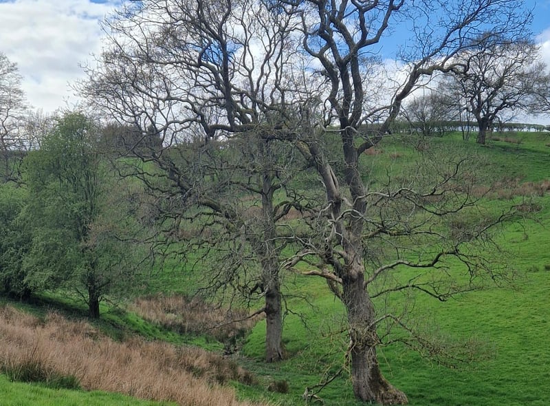 Start your walk with some wonderful scenic views