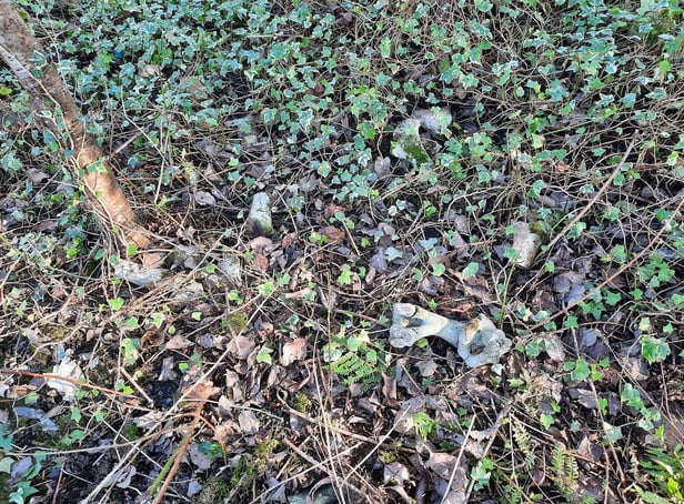 Bones were found by the team of litter pickers