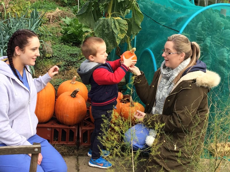 Three-year-old Oliver Middleton-Adams picking pumpkins at Hope Carr Allotments with Ducklings Day Nursery nurses Emma Myers and Ashleigh Bowen