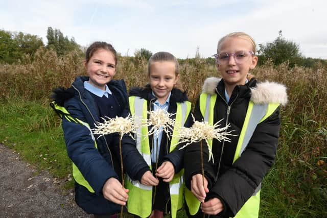 Hindley St Peter's Primary School pupils