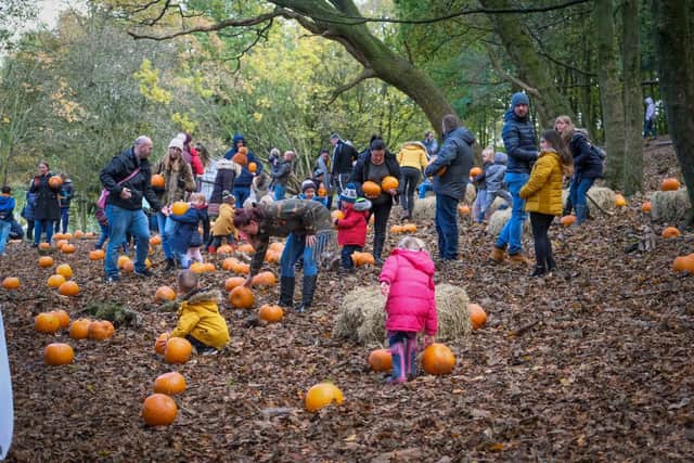 Halloween fun will be provided at Haigh Woodland Park