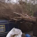 Tanya Brennan posted this photograph on Facebook of a tree which had fallen onto a boat in Crooke