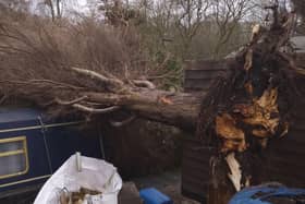 Tanya Brennan posted this photograph on Facebook of a tree which had fallen onto a boat in Crooke