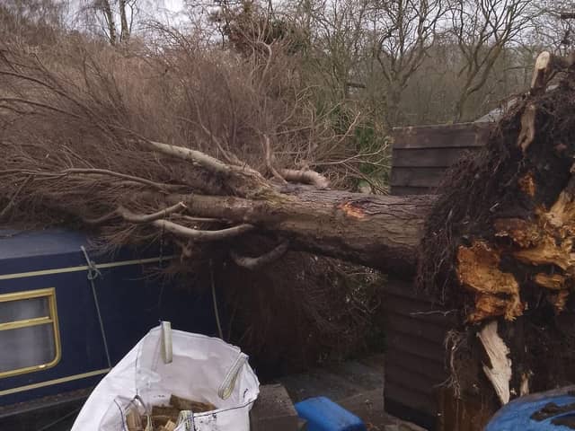 Tanya Brennan posted this photograph on Facebook of a tree which had fallen onto a boat in Crooke