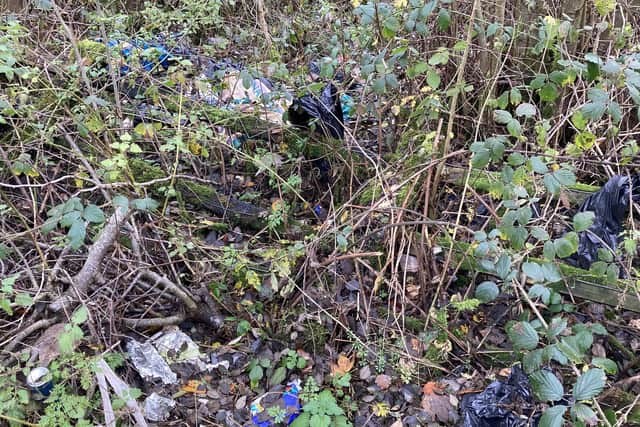 Rubbish dumped off the side of Slag Lane in Leigh between the swing bridge and the recycling centre