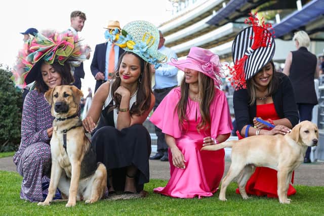 Guide dog puppies interact with racegoers wearing big hats at Ascot Racecourse, as part of their socialisation training to become comfortable around unusual headwear. Research from charity Guide Dogs reveals that dogs can be afraid of hats or objects on people’s heads, as they can make it harder for them to recognise even familiar individuals