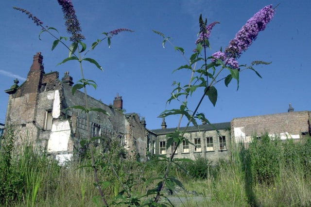 Wild flowers taking over at the Old Town Hall site in the centre of Wigan in 2002.