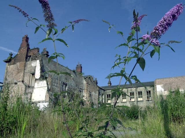 Wild flowers taking over at the Old Town Hall site in the centre of Wigan in 2002.