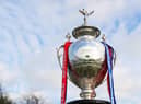 St Pats and Ince Rose Bridge meet in the first round of the Challenge Cup