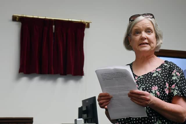 Babs Hennessy chair of The Mary O'Shaughnessy Society addresses the unveiling