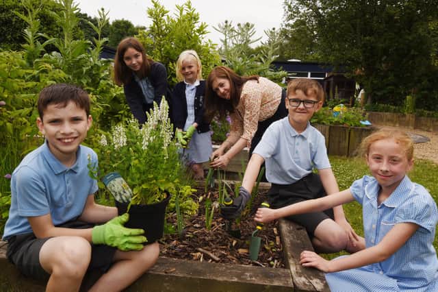 Wellbeing Garden - The wellbeing of children and staff is extremely high profile at St. Wilfrid’s and members of the school community enjoy visiting the Wellbeing Garden, where they are supported to develop positive mental health and social communication skills.