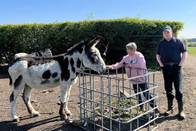 Gillian Morris and son Andrew with one of the donkeys taking a break from Blackpool Beach