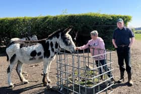 Gillian Morris and son Andrew with one of the donkeys taking a break from Blackpool Beach