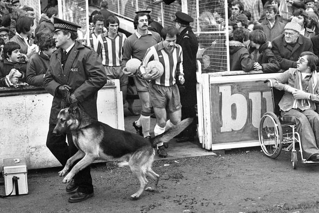 Wigan Athletic captain Ian Gillibrand leads his team out against Division 3 Sheffield Wednesday in the FA Cup 2nd round match at Springfield Park on Saturday 17th of December 1977. Latics won the game 1-0 with a goal from Maurice Whittle.