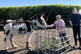 Gillian Morris and son Andrew with one of the donkeys taking a break from Blackpool Beach