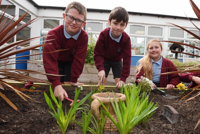 Members of the eco council maintain the bee-friendly garden at the school.