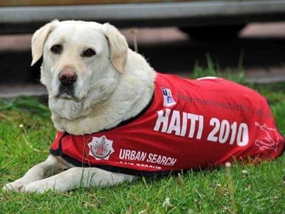 Two emergency service dogs have received official honours