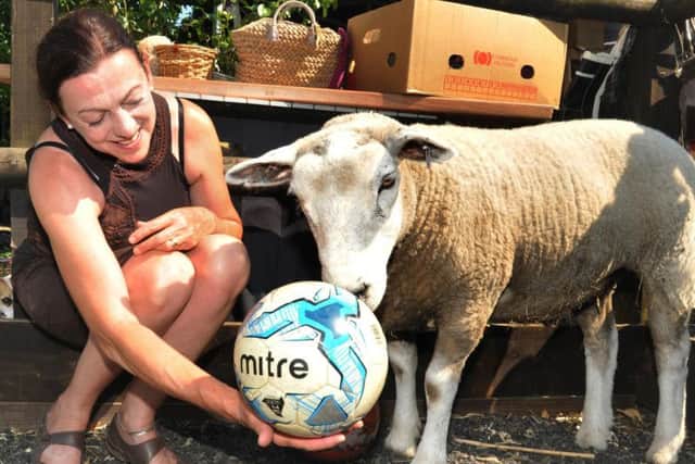 Alison Thorpe, from Lucky Hens Rescue, playing football with Alan