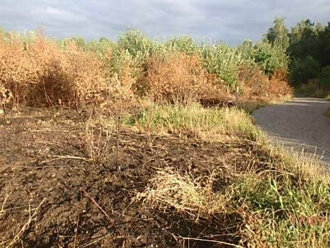 Fire damage at Wigan nature reserves