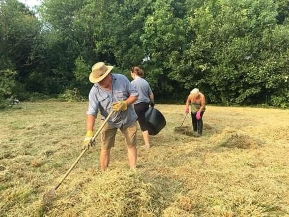 Members of the community clear the overgrown garden