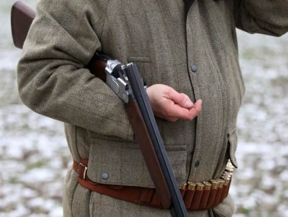 A traditional pheasant shooting