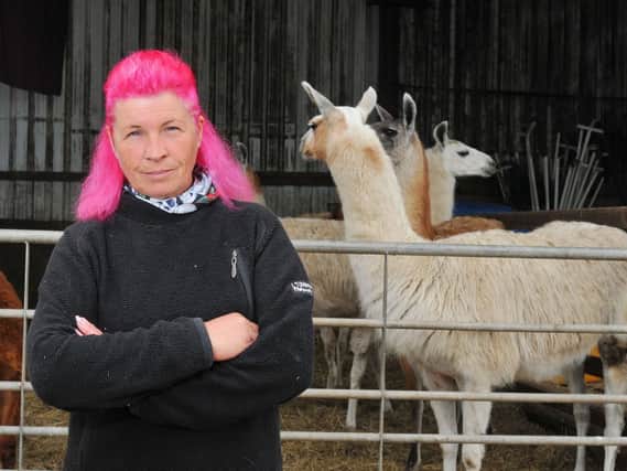 Christine Dickenson, who runs Hope View Sensory Farm in Astley, tried to protect her land from travellers