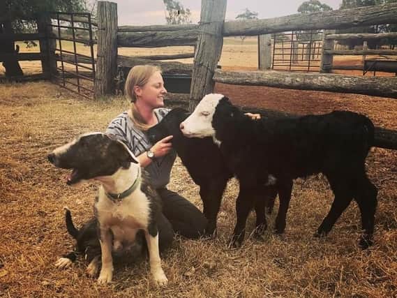 Lorna Bean is one of many farmers having to hand-raise cattle as their mothers are too weak to do so themselves