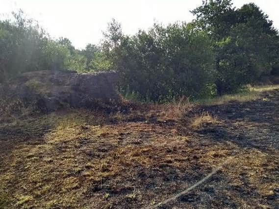 The scorched earth following arson attacks at Kirkless Nature Reserve, otherwise known as Rabbit Rocks