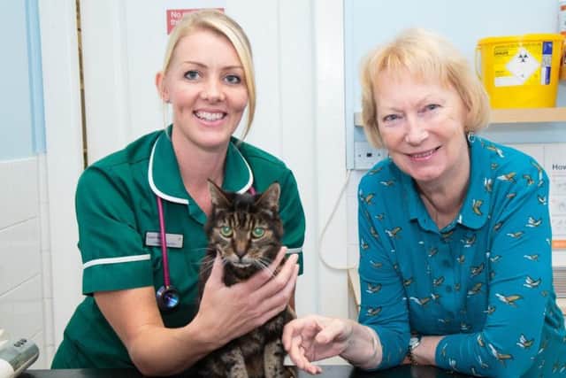 Pamela Pamela Hornby, head veterinary nurse, at The Village Vets in Ashton-in-Makerfield, with owner Helen Corrie and William the cat