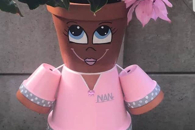 The new nan pots have just been released
