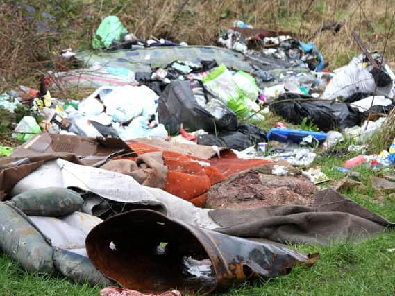 Humans need to be more responsible and stop throwing litter says a reader
