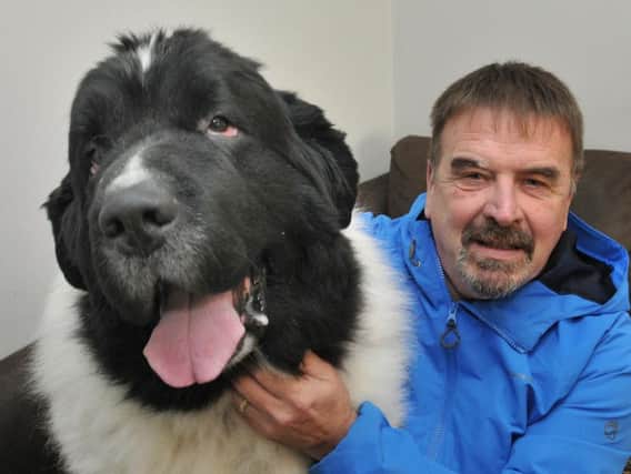Monty, the Newfoundland dog with owner Mark Sanders
