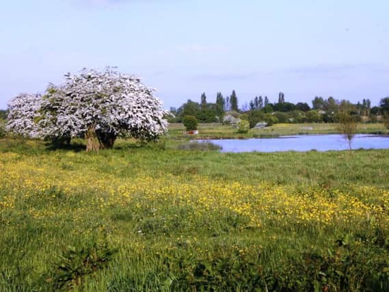Lightshaw Meadows, which could be affected by HS2