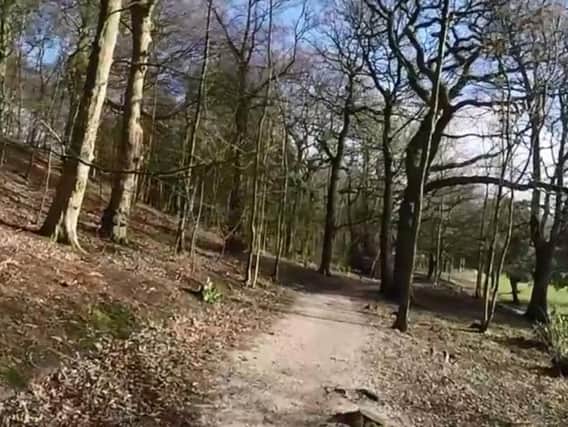 A section of the path at Haigh Hall Country Park