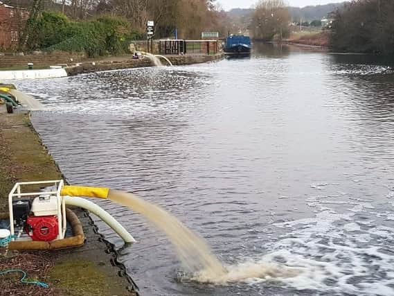 Pumps work to save fish in the canal