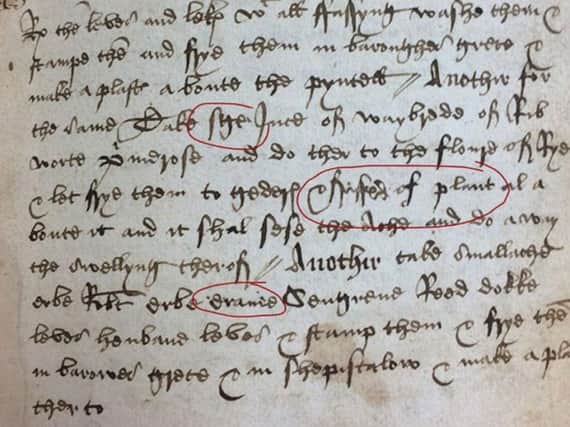 The manuscript containing the centuries-old recipe