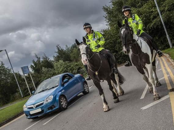 Police horses at work