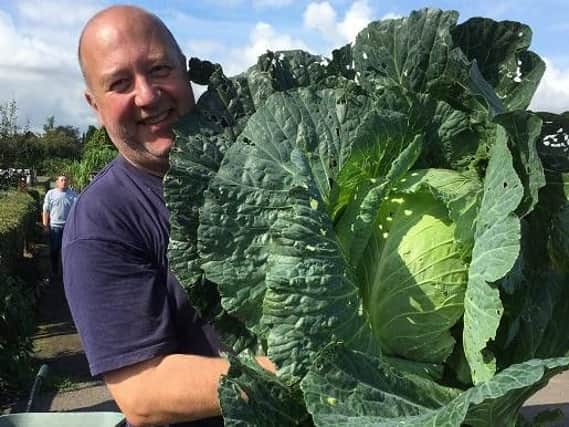 Darren Wrudd with his gigantic cabbage