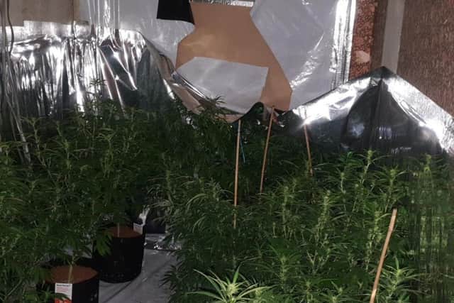 Police have discovered a huge cannabis farm in Tyldesley
