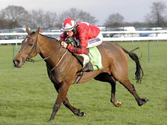 The New One has a race named after him at Haydock Park on Saturday