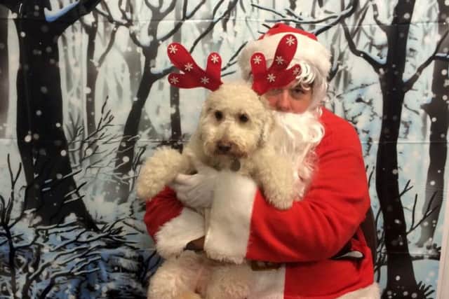 Christmas party at Auntie's Doggie Day Care, Lostock Hall