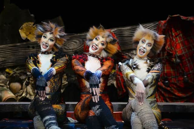 Cats at Manchester Opera House
