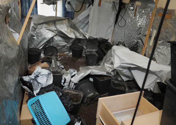 The remains of cannabis farm in a property on Stopforth Street