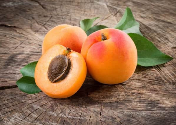 Apricot kernels warning