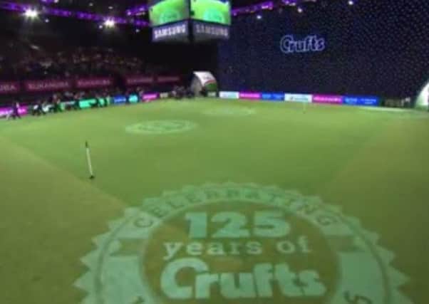 Crufts 2016 ...