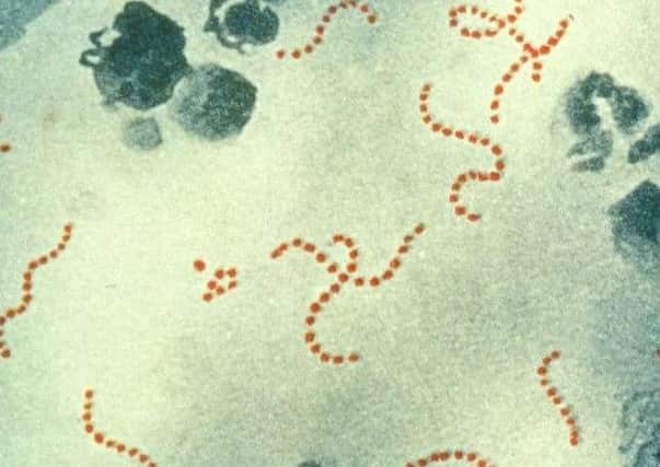 The start of this year has seen a surge in the number of scarlet fever cases