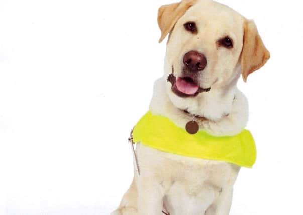 The Guide Dogs charity is looking for committed volunteers to look after dogs which are being trained. See letter