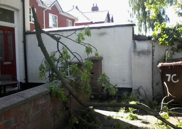 Branches from a tree fell outside a house on C Court, in Ashton-in-Makerfield, and residents want something done about the tree