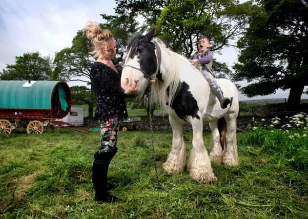 Travellers groups are disappointed by Wigan Councils fly-grazing policy, saying it does not recognise the importance of horses to travellers and gypsies