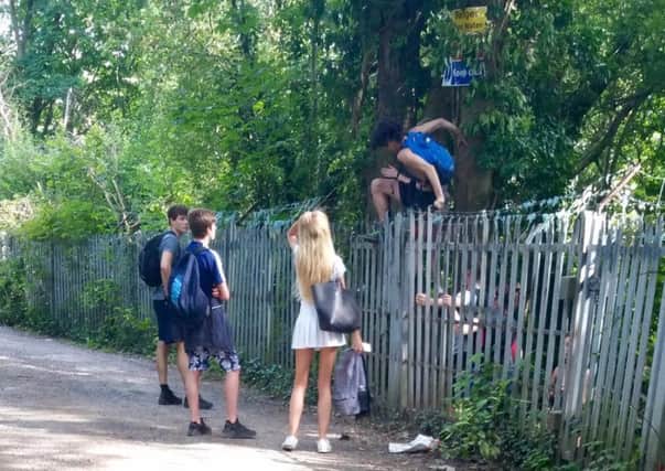 Police caught these teens trying to climb a fence into the quarry